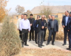 ظرفیت‌های علمی و پژوهشی استان در زمینه کشاورزی بررسی شد