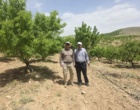 آغاز ارزیابی روش‌های نوین آبیاری در سامان