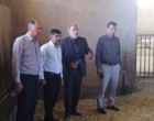 گام‌های بلند «ایستگاه تحقیقاتی بلداجی» در مسیر امنیت غذایی و رونق دانش‌بنیان کشاورزی