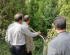 بازدید از پروژه های سالم سازی کلون های منتخب ارقام بادام مامایی و ربیع جهت تولید گیاه عاری از ویروس