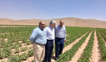 بازدید از مرزعه تولید مینی تیوبر سیب زمینی در ایستگاه تحقیقاتی گهرباران