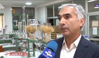 خاک به عنوان پایه امنیت پایدار غذایی مطرح است