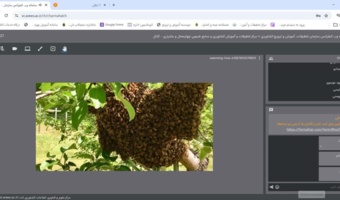 چهار وبینار آموزشی تخصصی در اردیبهشت ماه ۱۴۰۵ برای بهره‌برداران و کارشناسان کشاورزی چهارمحال و بختیاری برگزار شد