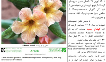 اینفوگرافیک؛  افتخارآفرینی محققان چهارمحال و بختیاری در سطح جهانی