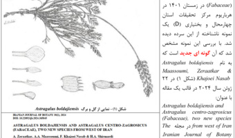 کشف گونه های جدید گیاهی در چهارمحال و بختیاری