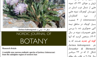 گونه جدید گیاهی به نام Jurinea kuhrangensis Zeraatkar & Shirmardi ثبت شد