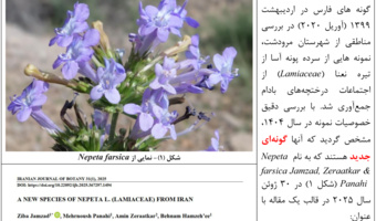 گونه جدید گیاهی کشف شد