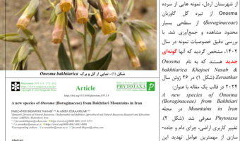 امین زراعتکار گونه جدید گیاهی را کشف کرد