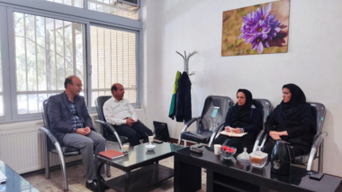 نشست کارگروه استانی، گام تازه‌ای برای توانمندسازی زنان روستایی