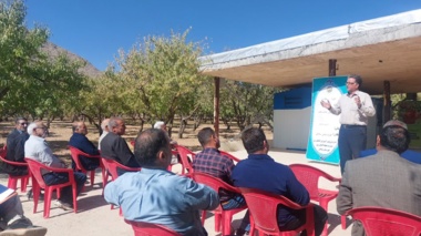 ارتقای دانش فنی باغداران سامان در سایه تغییر اقلیم؛ کارگاه آموزشی با محوریت مدیریت علمی بادام برگزار شد