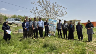 گزارش تصویری؛ کشاورزان دیناران با روش‌های علمی کنترل علف‌هرز، آینده‌ای پربارتر برای گندم آبی رقم زدند