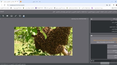 چهار وبینار آموزشی تخصصی در اردیبهشت ماه ۱۴۰۵ برای بهره‌برداران و کارشناسان کشاورزی چهارمحال و بختیاری برگزار شد