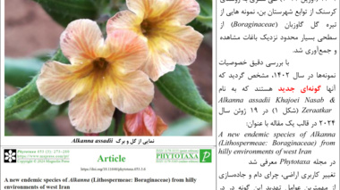 اینفوگرافیک؛  افتخارآفرینی محققان چهارمحال و بختیاری در سطح جهانی