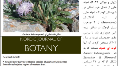 گونه جدید گیاهی به نام Jurinea kuhrangensis Zeraatkar & Shirmardi ثبت شد