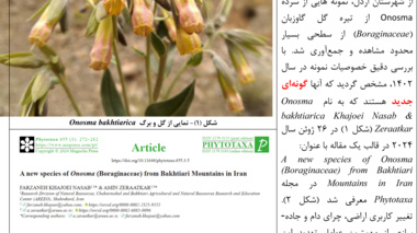 امین زراعتکار گونه جدید گیاهی را کشف کرد